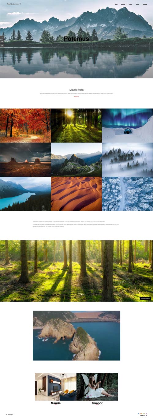 Portfolio Joomla Template